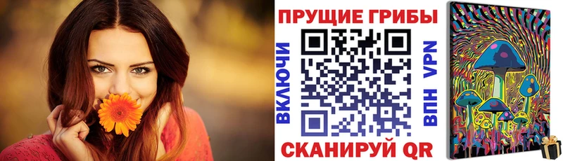Псилоцибиновые грибы Psilocybe  купить закладку  Ивдель 